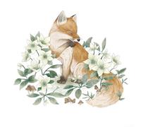 Adhesivos para pared con bonitos motivos de zorros y flores, complemento perfecto para cualquier habitación infantil