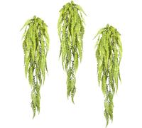 Adiantum colgante verde