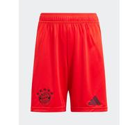 adidas adidas - Pantalón corto de hombre 1ª equipación FC Bayern Munich 2024-2025 Adidas. Rojo Talla 11-12 años