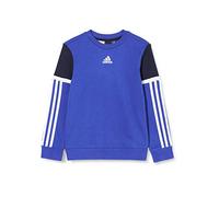 adidas B Bold Crew Sudadera, Niños, Azurea/Tinley, 128 (7/8 años)