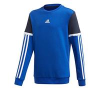 adidas B Bold Crew Sudadera, Niños, Azurea/Tinley, 164 (13/14 años)