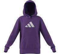 adidas Bambine e Ragazze Glam Graphic Hoodie Junior, Active Purple/Ice Gold Met., 13-14 Years