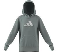 adidas Bambine e Ragazze Glam Graphic Hoodie Junior, Wonder Sage, 13-14 Years