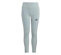 adidas Bambine e ragazze SEASONALS ANIMAL LEGGINGS, Wonder Sage/Aurora Onix, 13-14 Years