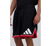 adidas Bos Celtics - Negro - Pantalón Hombre MKP