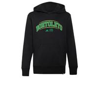 adidas Boy's Audi REVOLUT F1 Team Gabriel BORTOLETO Graphic III Hoodie, Black/Green