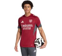 Adidas - Camiseta Arsenal FC Training 2025-2026, Unisex, Team Coll Burgundy-Dark Grey, M