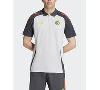 adidas Camiseta de hombre SL Benfica 2024/2025 Tiro24 Polo adidas. Gris L