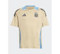 adidas Argentina - Camiseta de entrenamiento Junior 2024, dorado, 9-10 Años