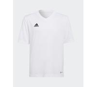 adidas Camiseta de niños Entrada 22 adidas. Blanco 11-12 Años (152 cm)