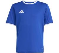 Adidas - Camiseta Entrada 26 Niño, Unisex, Royal Blue-White, 152 cm