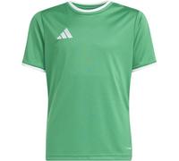 Adidas - Camiseta Entrada 26 Niño, Unisex, Team Green-White, 164 cm