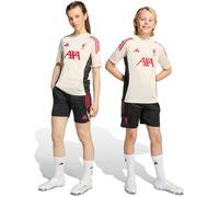 Adidas - Camiseta Liverpool Fc Training 2025-2026 Niño, Unisex, Wonder White, 128 cm