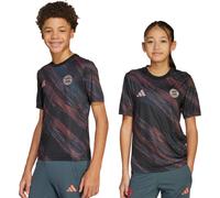Adidas - Camiseta oficial FC Bayern Pre-Match 2025-2026 Niño, Unisex, Black, 176 cm