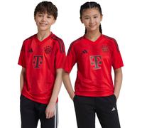 Adidas - Camiseta oficial FC Bayern Primera Equipación 2024-2025 Niño, Unisex, Red, 176 cm