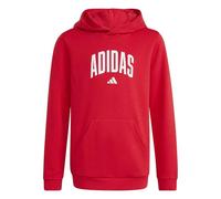 adidas Codes Collegiate Graphic Hoodie Sudadera gráfica con Capucha Unisex niños (Pack de 1)