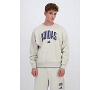 adidas Collegiate - Arena - Sudadera Hombre talla L