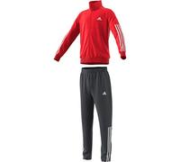 adidas Conjunto modelo B TEAM TS marca