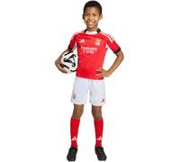 Adidas - Conjunto SLB Benfica Primera Equipación 2025-2026 Niño, Unisex, Benfica Red-White, 116 cm
