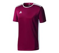 Adidas Entrada 18 JSY T-Shirt, Hombre, Maroon/White, S