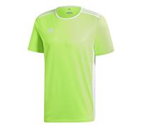 adidas Entrada 18 JSY T-Shirt, Hombre, Solar Green/White, S