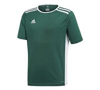 adidas Entrada 18 Jsyy, Camiseta Niños, Collegiate Green/White, 128
