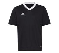 adidas Entrada 22 Jersey T-Shirt, Black, 140 Unisex niños