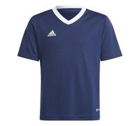 adidas Entrada 22 Jersey T-Shirt, Tenabl, 116 Unisex niños