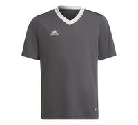 adidas Entrada 22 Jersey T-Shirt, Unisex niños, Team Grey Four, 7-8 Years