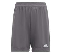 adidas Entrada 22 Shorts Bermudas, Unisex niños, Team Grey Four, 7-8 Years