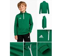 adidas Entrada 22 Sudadera Infantil Verde Entrenamiento HI2132 Gr. 128 Nuevo