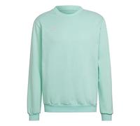 adidas Entrada 22 Sweatshirt Sudadera, Hombre, Clear Mint, M