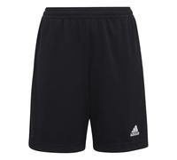 Pantalón corto de entrenamiento para niños adidas Entrada 22 7/8 años