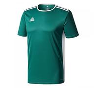 Adidas Entrada 30 Camiseta de Manga Corta, Hombre, Verde (Collegiate Green/White), XL