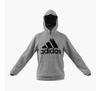 Sudadera con capucha adidas Essentials Big Logo M Male