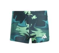 adidas Graphic Swim Boxers Bañador, Aurora Ivy/White, 36 para Hombre
