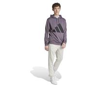 adidas Hombre BIG LOGO FRENCH TERRY HOODED TRACKSUITS, grey strata, XL