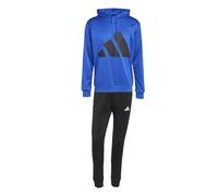 adidas Hombre BIG LOGO FRENCH TERRY HOODED TRACKSUITS, team royal blue, S