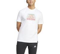 Camiseta adidas codes bos graphic hombre blanco XL