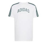 CAMISETA ADIDAS COLLEG HOMBRE M