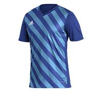 Adidas Hombre Entrada 22 Graphic Jersey, Royal Blue/App Sky Rush, XXL