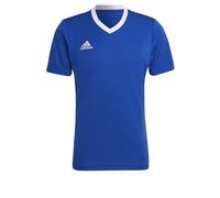 adidas Hombre Entrada 22 Jersey, Royal Blue, 3XL