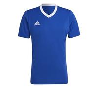 adidas Hombre Entrada 22 Jersey, Royal Blue, L