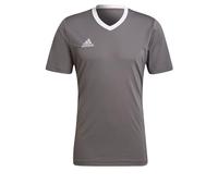 adidas Hombre Entrada 22 Jersey, Team Grey Four, XS
