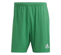 adidas Hombre Entrada 22 Shorts, Team Green, S