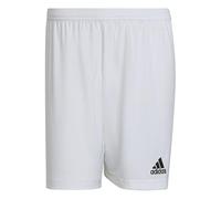 adidas Hombre Entrada 22 Shorts, White, L