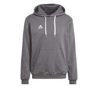 adidas Hombre Entrada 22 Sweat Hoodie, Team Grey Four, L