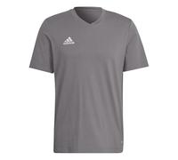 adidas Hombre Entrada 22 Tee, Team Grey Four, XXL