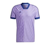 Adidas Hombre Jersey (Short Sleeve) Tiro SS JSY M, Violet Fusion, HS7487, XS