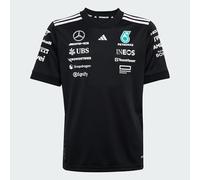 Adidas Hombre Mercedes - AMG Petronas Formula One Team Driver Jersey Black Men, Black/White, L